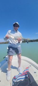 Looking for Snook? They're everywhere in Florida!