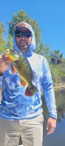 Beautiful Bass lake fishing in Bonita Springs FL.