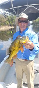 Experienced Angler Bass fishing in FL.