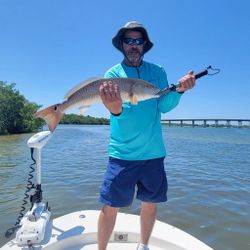 Redfish Caught in Estero Bay