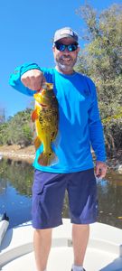 Fishing charters in Bonita Springs FL