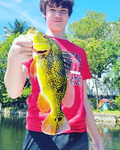 Kid Friendly Bonita Springs fishing	