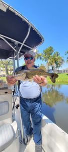 Inshore Fishing in Bonita Springs!