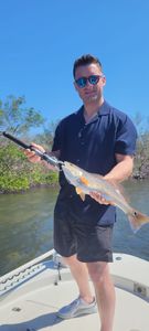 Redfish in Bonita Springs, FL