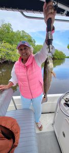 Bonita Springs Fishing Gems: Redfish!
