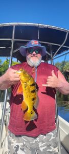 Angler fishing in Bonita Springs