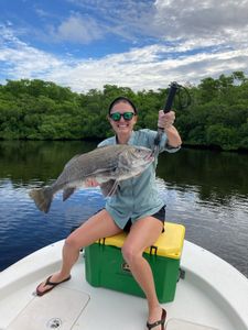 Black Drum fish caught in FL
