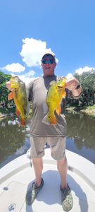 Angler catching 2 fish in Bonita Springs