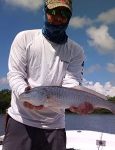 Caught a nice redfish in Bonita Springs