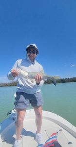 Snook fish caught while fishing in Bonita Springs