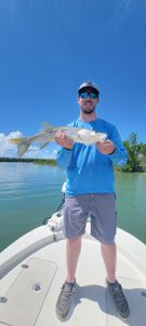 Snook fish caught by one person in Bonita Springs