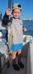 Cero Mackerel caught while fishing in Bonita Springs