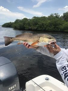 Fishing at an unknown location