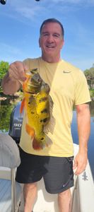 Angler fishing in FL