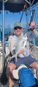 Florida Pompano caught while fishing in Bonita Springs FL on boat