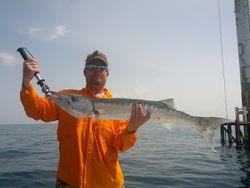 Catch of the day: a great barracuda fish caught while fishing