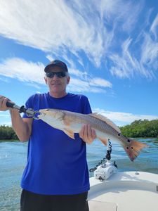 Redfish caught in Bonita Springs, Florida