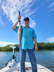 Redfish caught in Bonita Springs