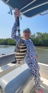 Sheepshead fish caught in Bonita Springs while fishing