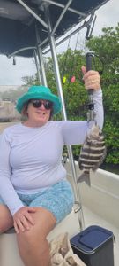 Sheepshead fish caught while fishing in FL