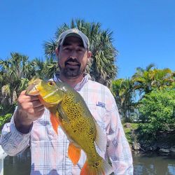 A lone angler fishing in Bonita Springs