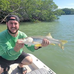 Snook fish caught by angler in Bonita Springs