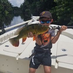 A person fishing in an unknown location