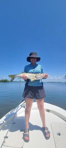 Snook fishing in FL