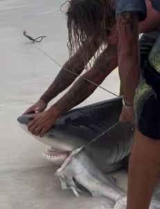 Amazing fishing trip in FL
