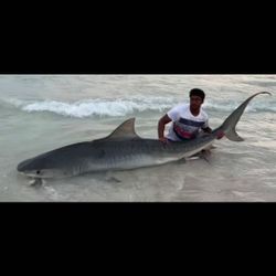 Angler with a big fish in Destin