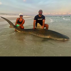 Anglers fishing in Destin with best, great catch