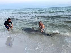 Two anglers fishing in Destin, Florida