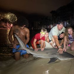 A group of four people fishing for a bull shark in Florida