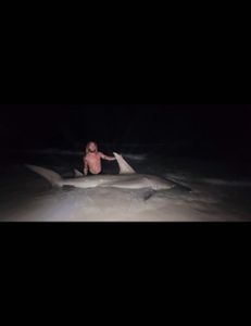 Photograph of a 96-inch Atlantic Sharpnose Shark caught while fishing in FL.