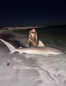 An Atlantic Sharpnose Shark, a 97-inch fish, caught while fishing in Destin