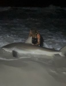 Caught an Atlantic Sharpnose Shark while fishing in FL