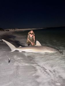 Photograph of an Atlantic Sharpnose Shark, a 97-inch fish, with 2 anglers in Florida