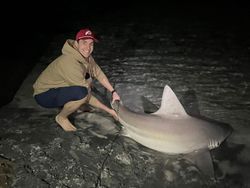 Bull shark catch in Destin, Florida