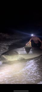Exciting fishing adventure in FL