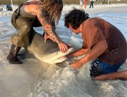 Amazing fishing trip in FL