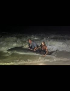 Best fishing in FL