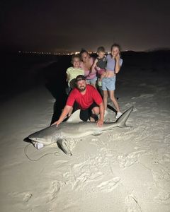 Photo of a big bull shark caught while fishing in FL