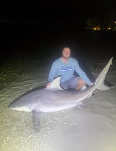 Blacktip shark, 58 inches, caught fishing in Destin