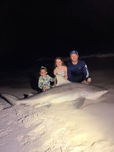 Blacktip shark catch on beach in Destin FL during nighttime fishing trip