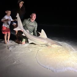 Blacktip shark caught fishing in Destin