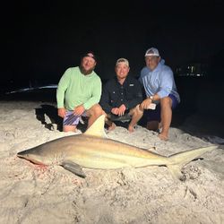 Blacktip shark caught while fishing in Destin