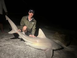 Blacktip shark caught while fishing in Destin