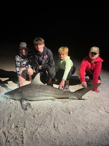 Four anglers posing with freshly caught blacktip shark on sandy beach in Destin FL