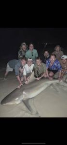 Blacktip shark caught fishing in Destin FL with group of anglers on beach at night