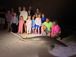Large blacktip shark caught during fishing trip in Destin FL with group posing on beach at night